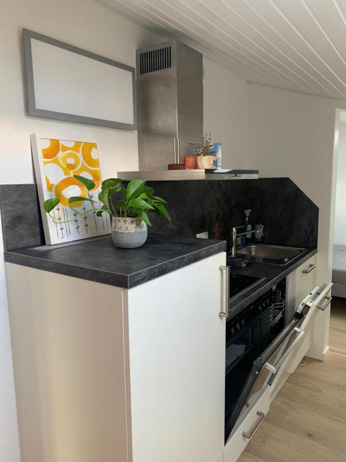 Herbertingen Schoene, Grosse Ferienwohnung Direkt Am Donauradweg & Keltenstadt Heuneburg מראה חיצוני תמונה