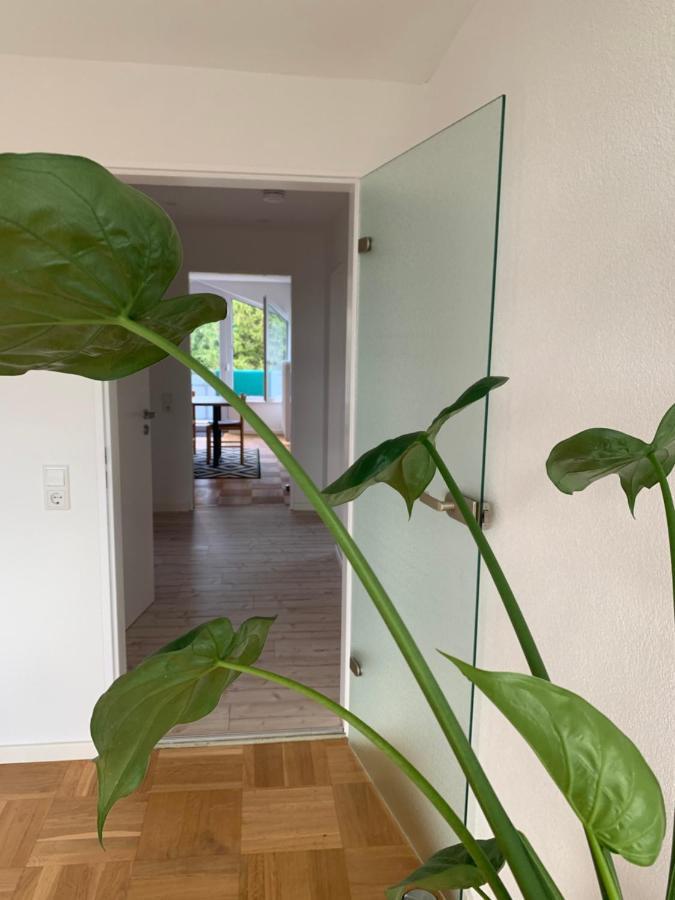 Herbertingen Schoene, Grosse Ferienwohnung Direkt Am Donauradweg & Keltenstadt Heuneburg מראה חיצוני תמונה
