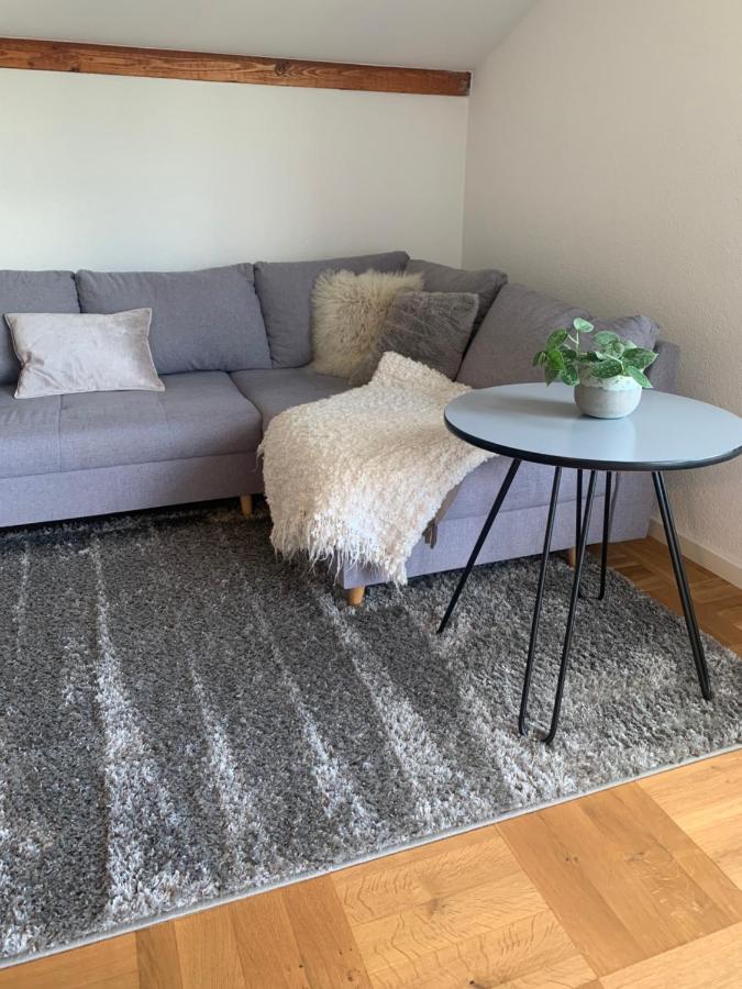 Herbertingen Schoene, Grosse Ferienwohnung Direkt Am Donauradweg & Keltenstadt Heuneburg מראה חיצוני תמונה
